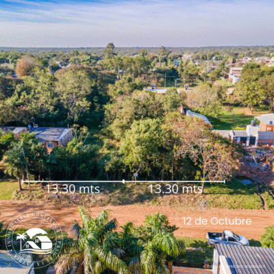 C.N° 165: Terrenos con linda arboleda