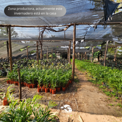 C.N° 3021: Casa sobre Ruta 12 en San Cosme