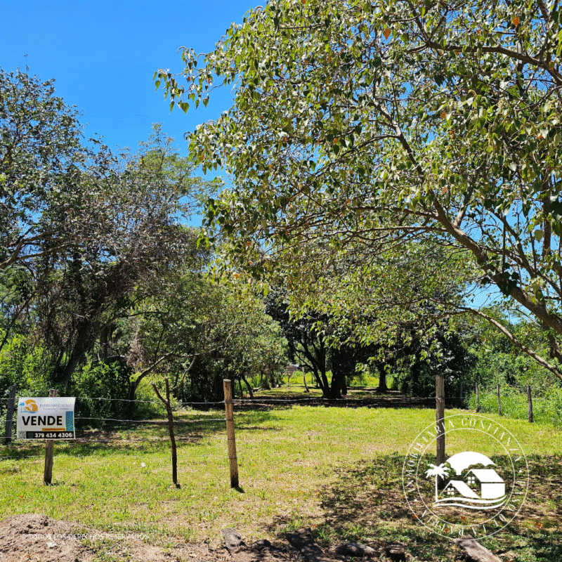 C.N° 308: Terreno en Punta Iglesia, a 400 mts del río